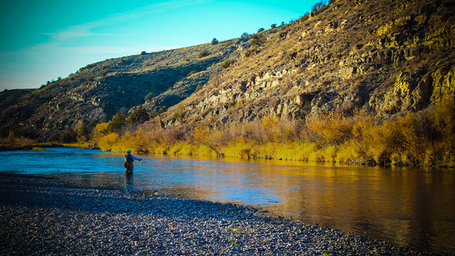 Gallatin River RV