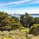View of Golden Gate Bridge from above Bicentennial Campground.