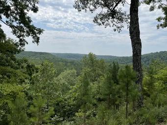 Red Bluff Campground