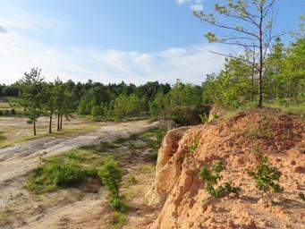 MAGNOLIA SPRINGS RV PARK