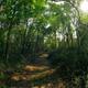 Woodland trail/path through the trees on the property — shows natural setting and opportunities for walks/hiking within the campground grounds.