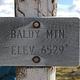 Mt. Baldy-Buckhorn Ridge Lookout elevation sign