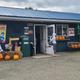 Exterior of the camp store / office decorated with seasonal pumpkins — useful to show on-site services and the campground hub (image from site showing the store building).