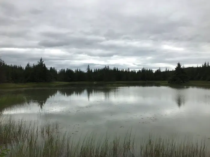 Mendenhall Campground