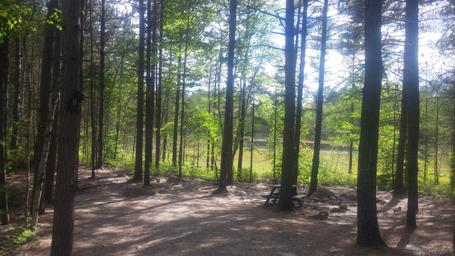 Big Moose Inn Cabins & Campground