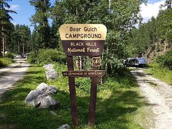 001, Loop: BEAR