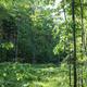 Campspot slideshow image 5