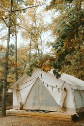 Timberline Glamping at Kingston Downs