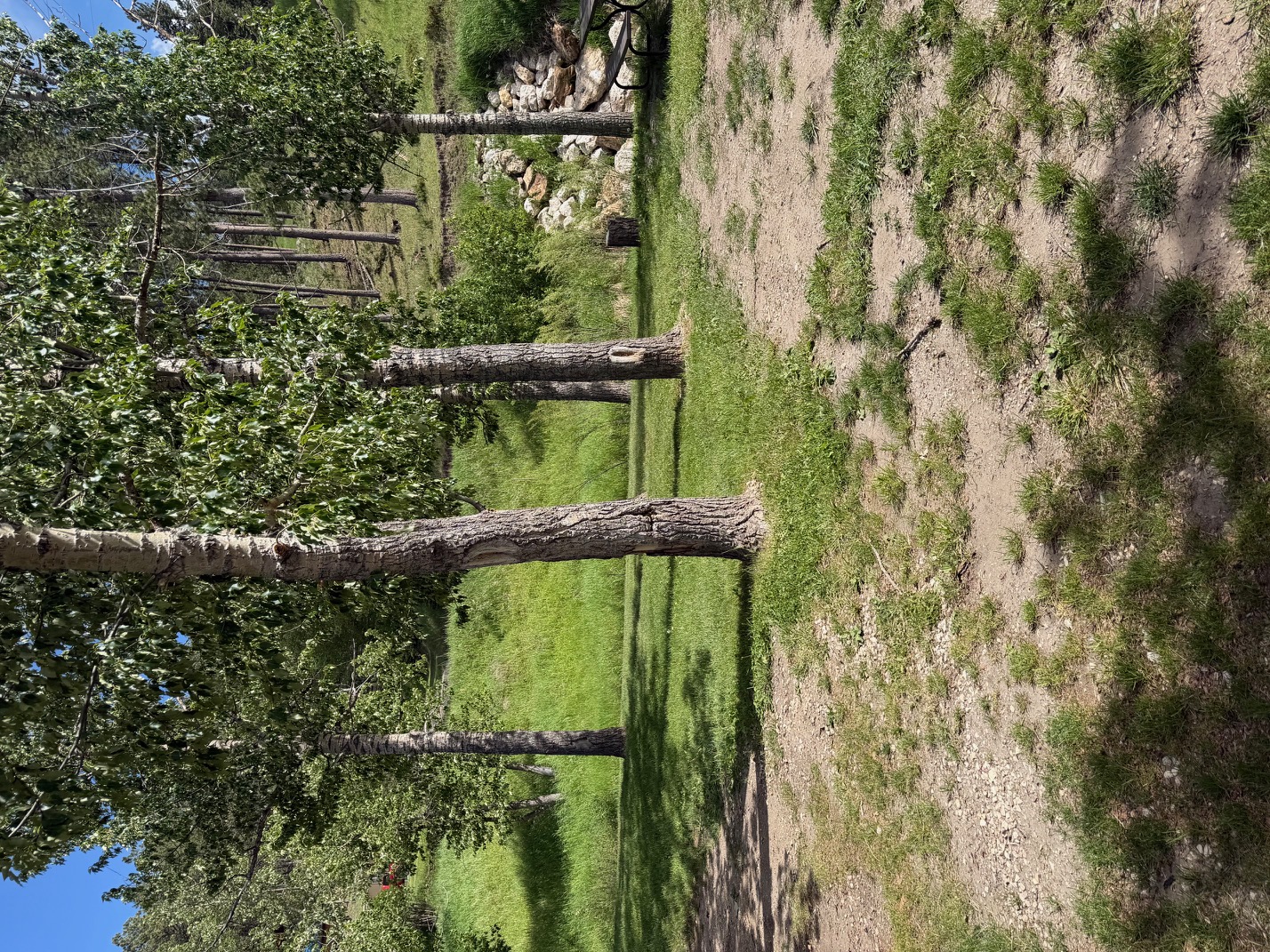 Nomad VanCamp & RV Park