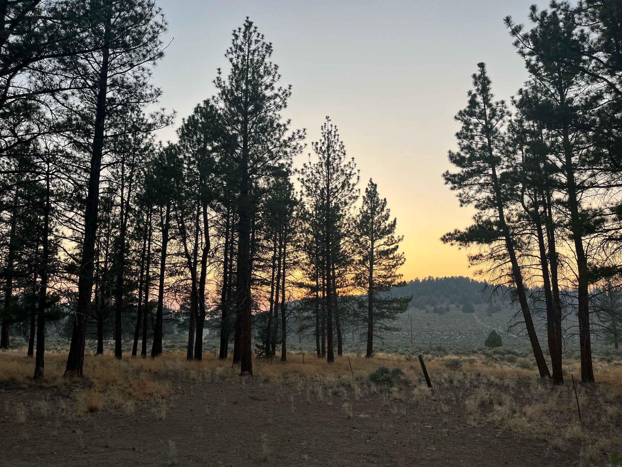 Coyote Ridge Campground
