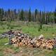 Keystone Ranger Station woodpile