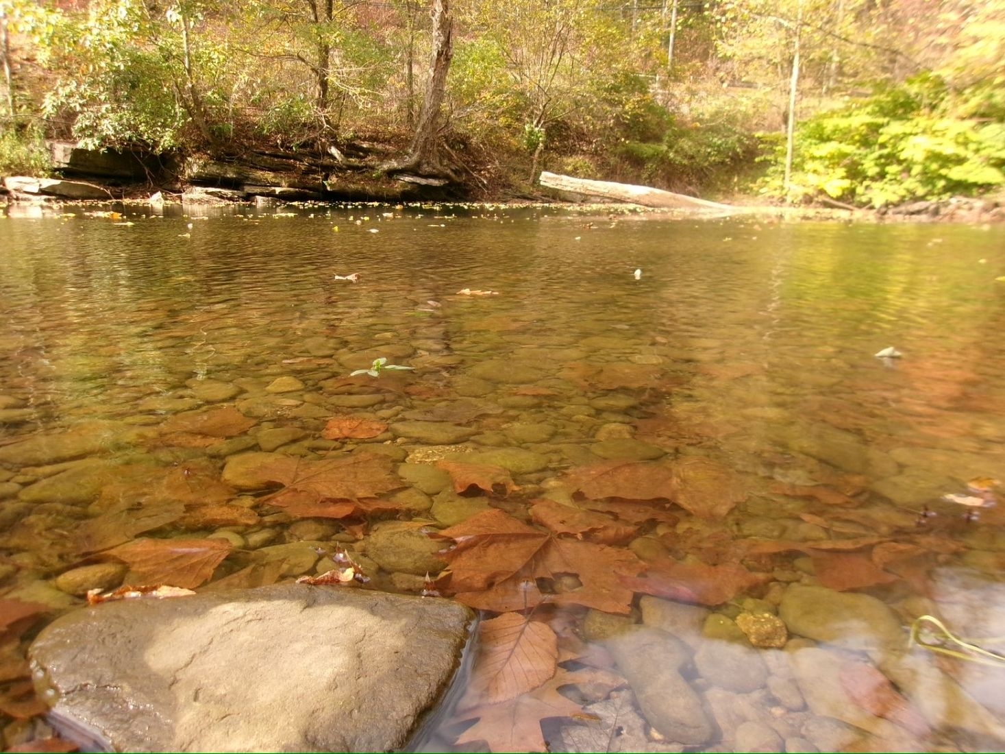 Squarewood Acres Campground