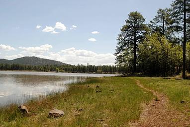 Dogtown Lake Campground and Group