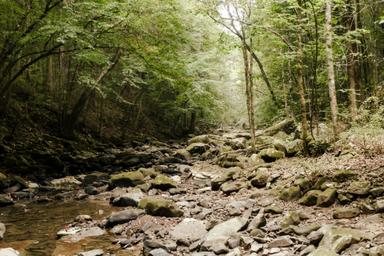 Stillwaters Creek