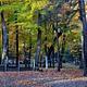 Leech Lake Recreation Area Campground Fall Campsite