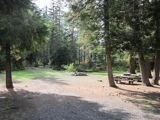 001, Loop: AREA PINE NEEDLE GROUP SITE