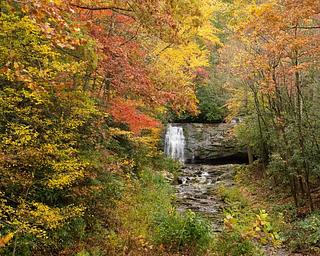 Fall Colors Near Cades Cove