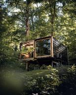 Treebox