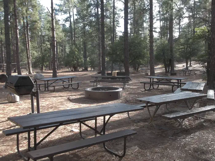 Upper Wolf Creek Group