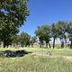 A photo of facility Deerlodge Park Campground wit sites under the shade of Fremont Cottonwood trees and Big Sagebrush in the foreground