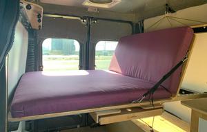 The Mystery Machine 3000 Ram Promaster Camper Van
