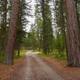 Scenic road around campground