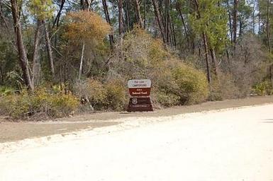 DOE LAKE GROUP SITE