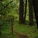 North Fork Bear Group Camp
