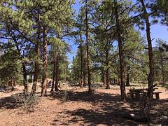 Round Mountain Campground