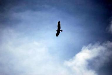 (LAKE ALPINE) SILVER VALLEY CAMPGROUND