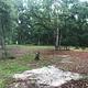 Campground image 2