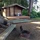 MOSER ISLAND CABIN22