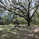 Ocklawaha Prairie Restoration Area Hike-In SJRWMD