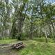 Campspot slideshow image 3