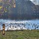 Cozy Cruiser or Lakeside Retreat