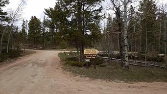 Yellow Pine Campground (WY)
