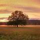 Cades Cove Campground