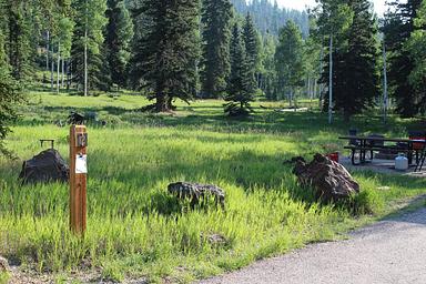 A Loop site 12 nestled aginst this beautiful green meadow.
