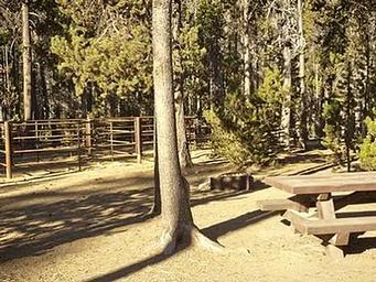 WHITEFISH HORSE CAMP