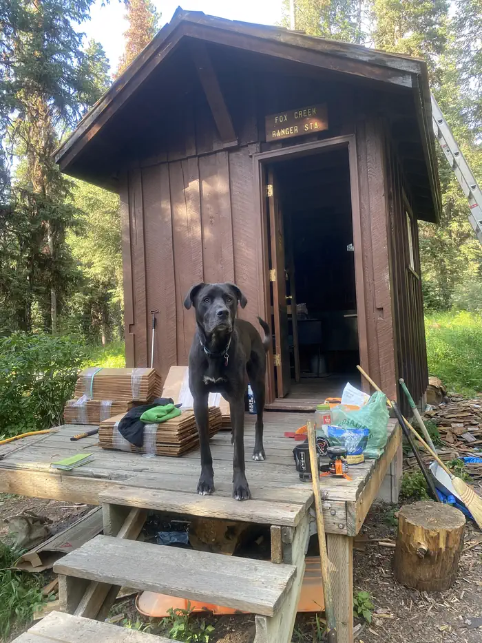 Fox Creek Cabin (MT)