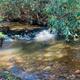 Campspot slideshow image 3