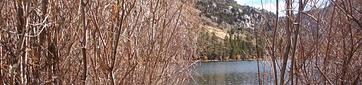 Silver Lake Campground June Lake (CA)