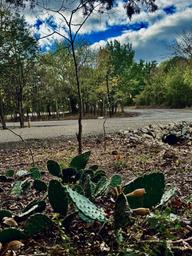Briar Oaks RV Park