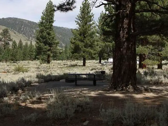 Crags Campground