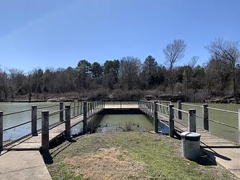 Oak (Navarro Mills Lake)
