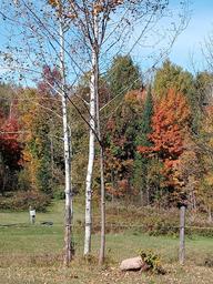 Campspot slideshow image 5