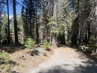 1, Loop: AREA SILVER CREEK GROUP CAMPGROUND