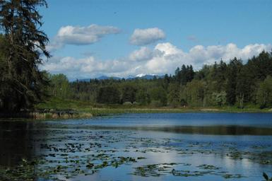 Lake Connor Park