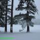 Winter scene of the lake/shore with snow‑covered trees and picnic table — shows seasonal appearance of the campground grounds (from the site's winter photo set).