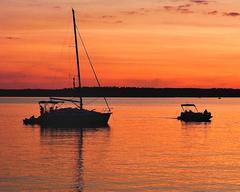 Plum Branch Yacht Club Marina